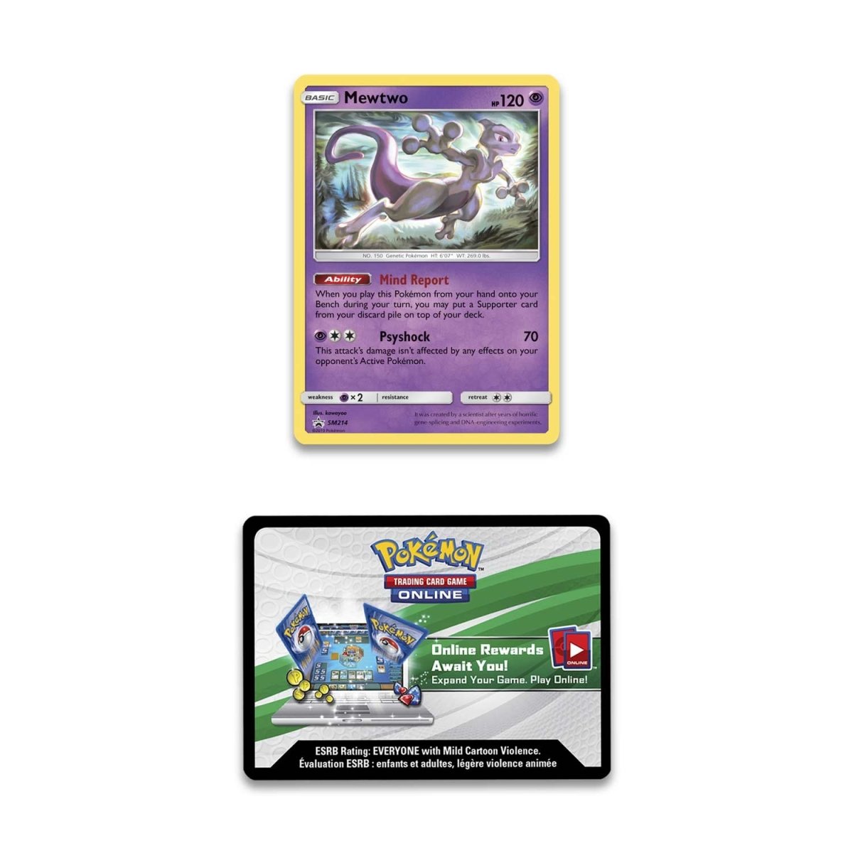 pokémon-tcg:-hidden-fates-pin-collection-(mewtwo)